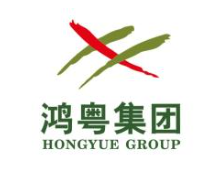 广东鸿粤汽车销售集团有限公司