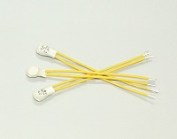 日本sakaguchi坂口电热热恒温器S06-180