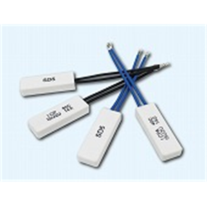 日本sakaguchi坂口电热ICP恒温器ICPA100