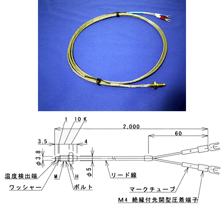 日本JUST螺钉安装型温度传感器TSKNM6