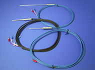 日本JUST  TS 型温度传感器TSP