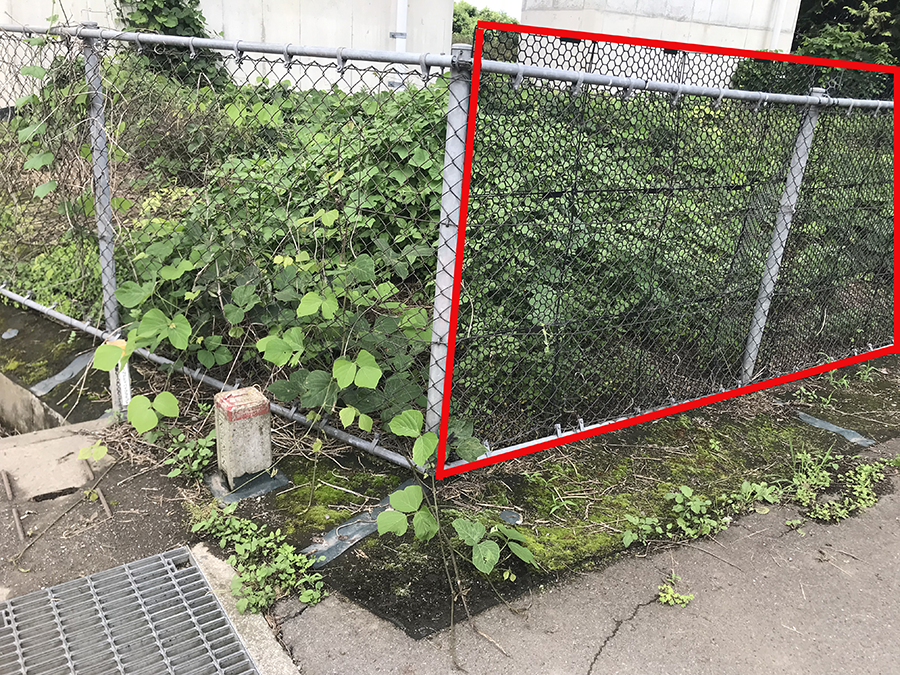 日本YOTSUGI四木 树木防护用品 防藤蔓攀爬涂层 / 防护网YS-402-10-02